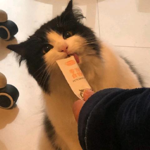 成默不语