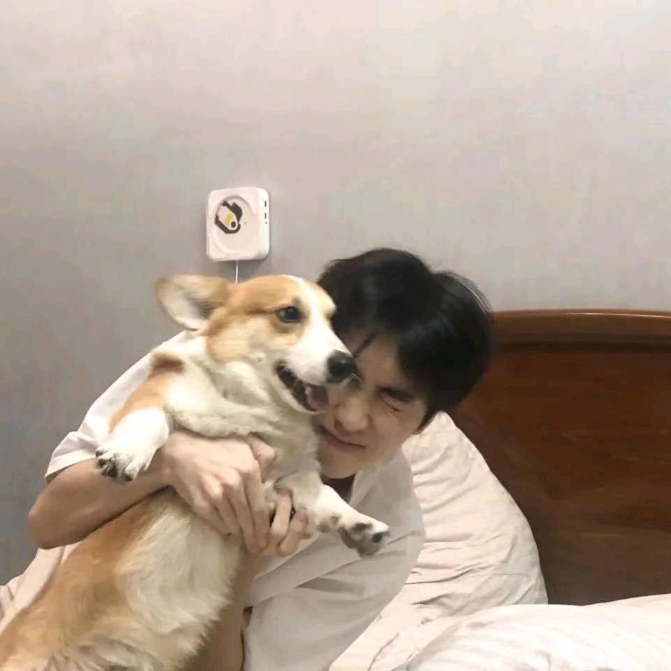 致借
