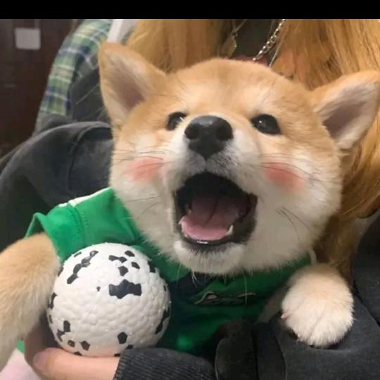 达恩