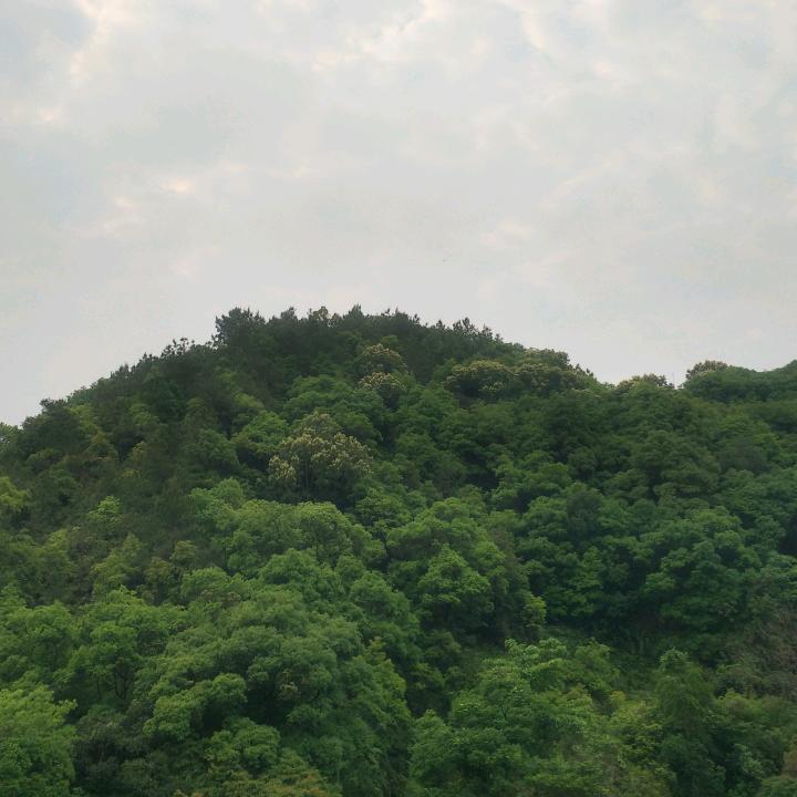 伟业