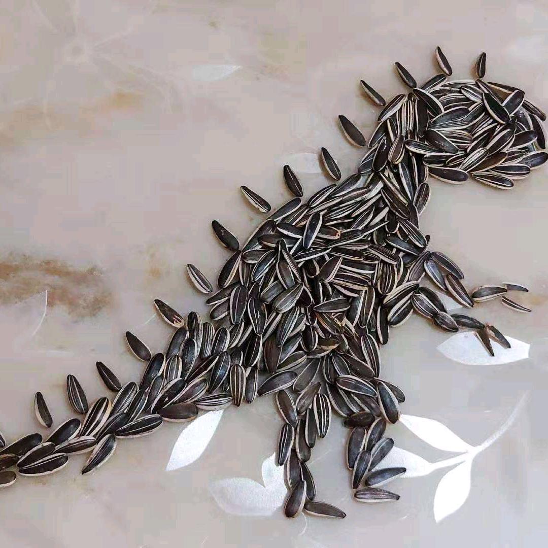 biubiu～🎵⁹¹⁵