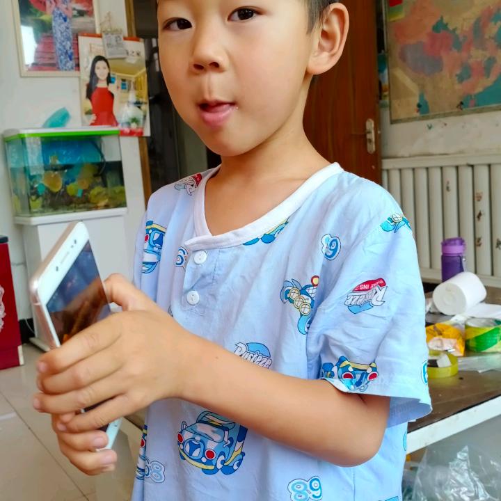 傲雪寒梅张振业