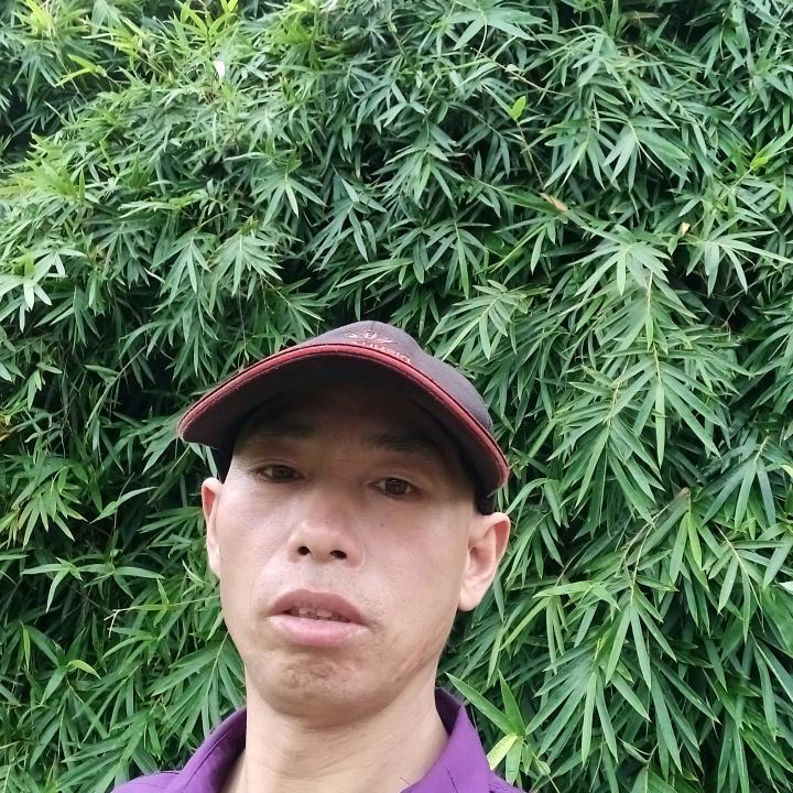 胡平生但行好事莫问前程