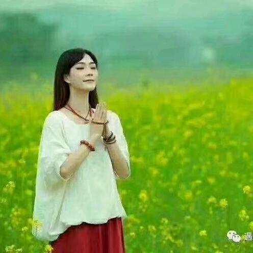 美萱131419
