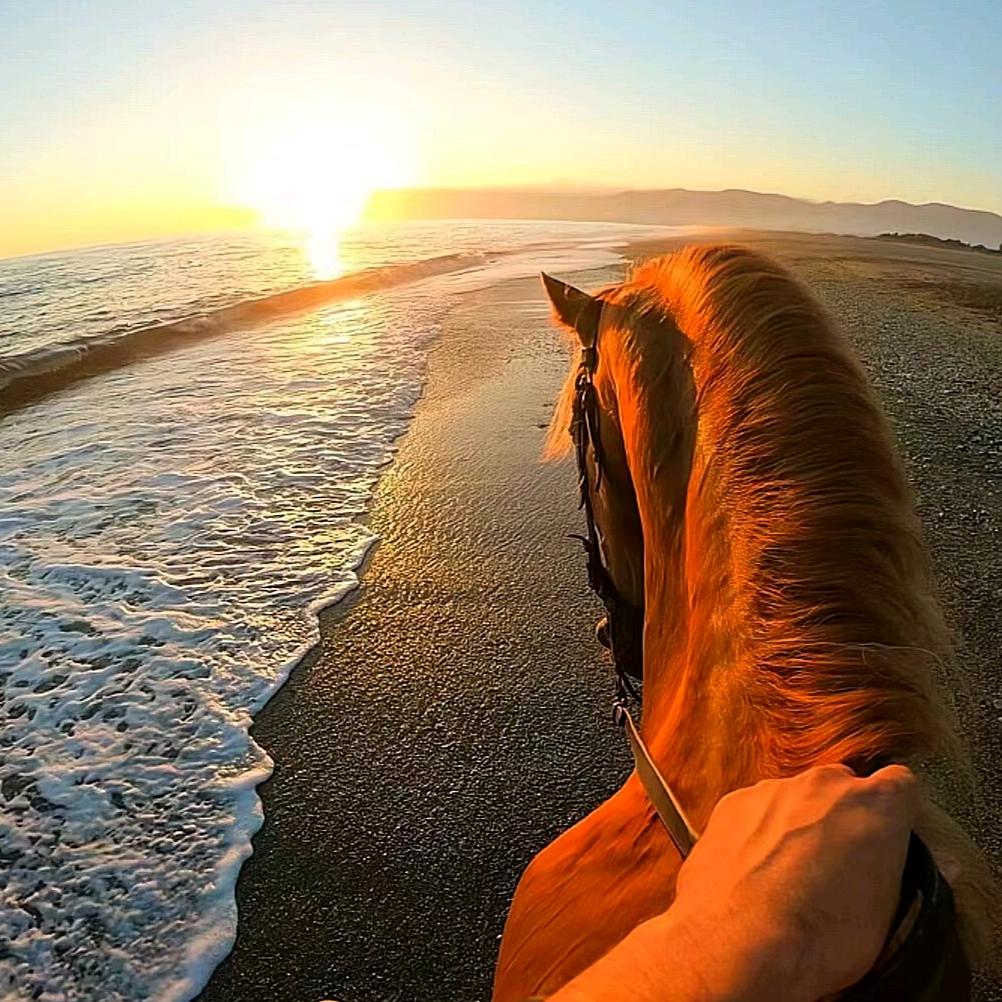 踏破艰险再出发