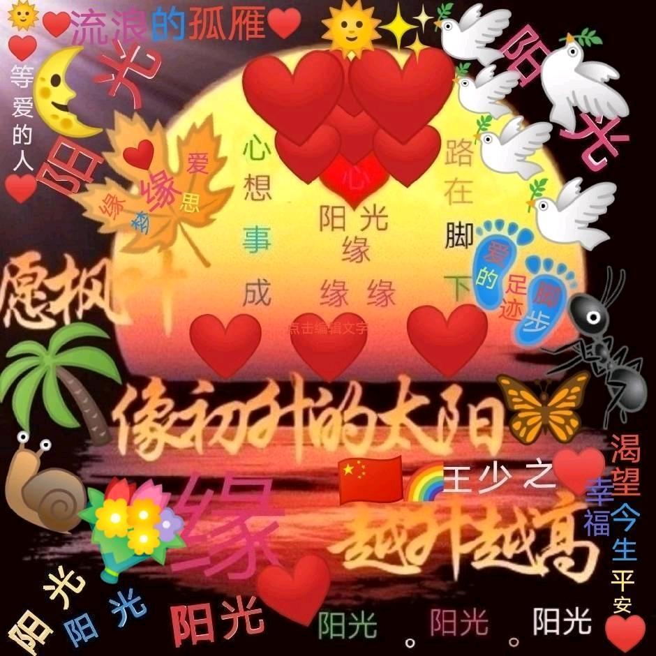 🌞🌴阳光5566❤️🐜