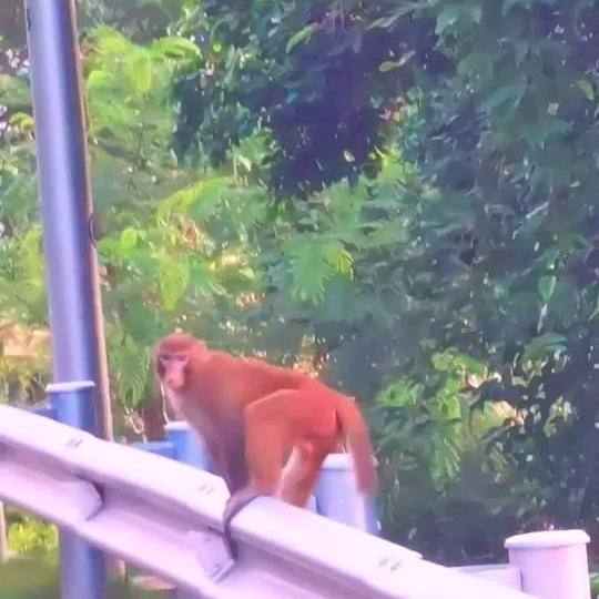心如大海