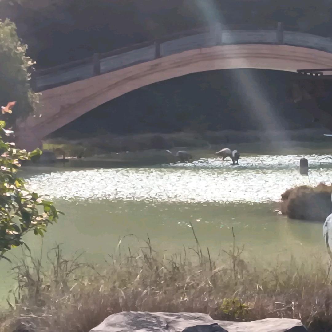 斌儿晋梁川酒铺西华苑店