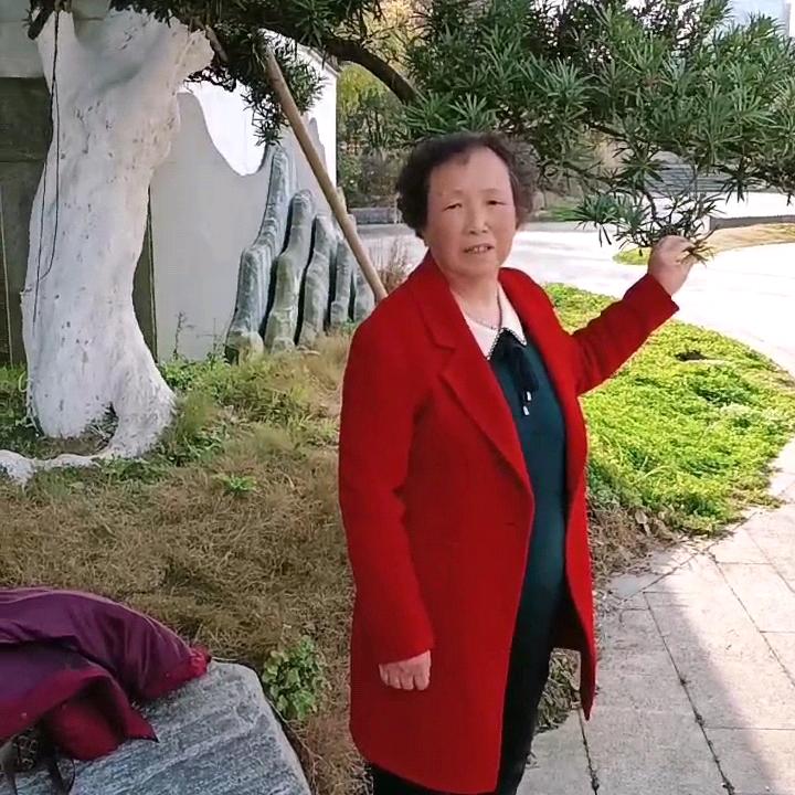 吴显君