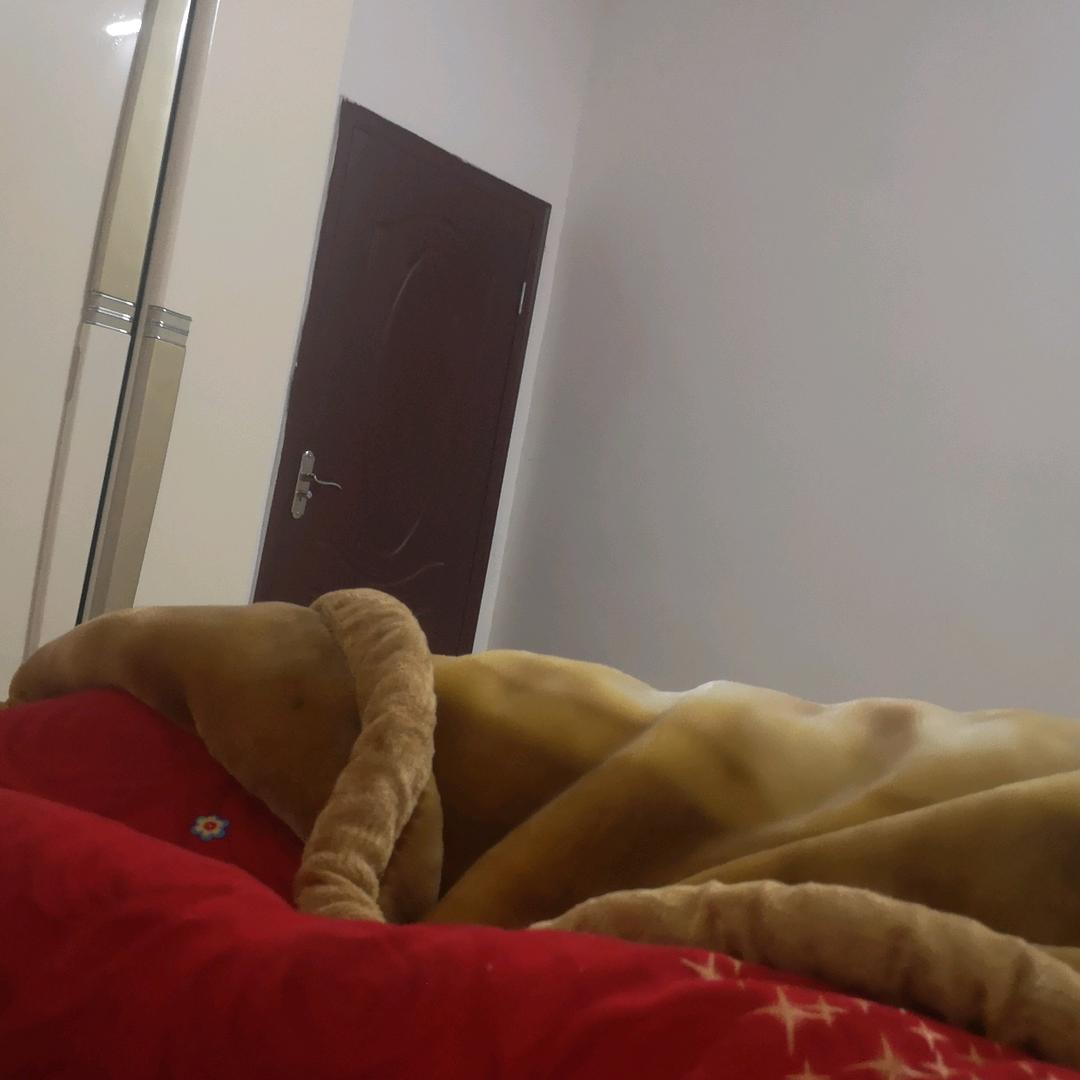 不一样的烟火*