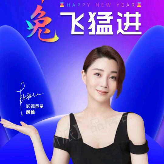 高端智能家电