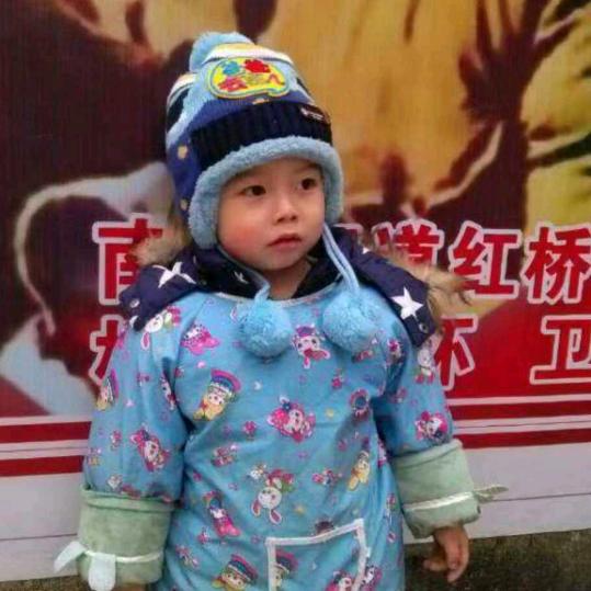 沃启、沃桐  