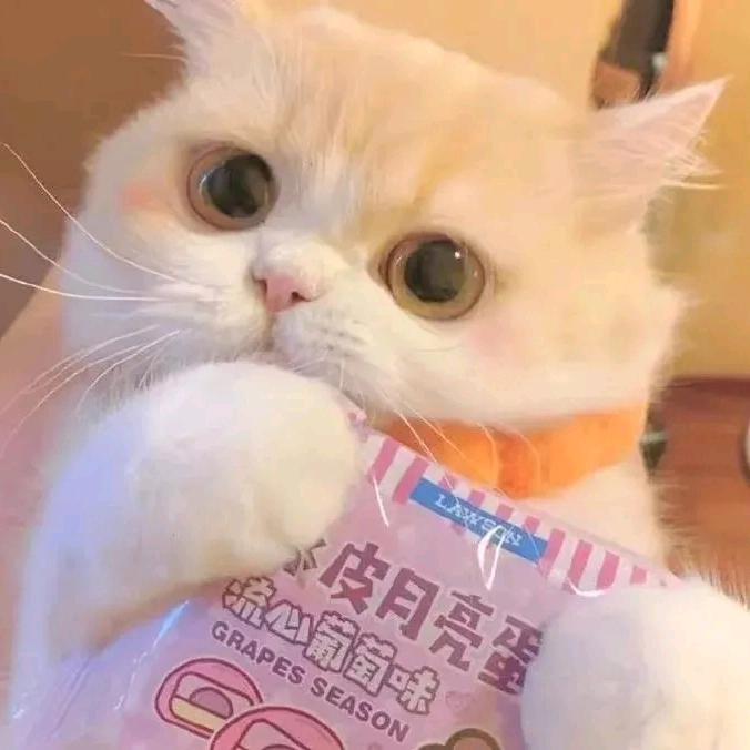 别抢我奶瓶.