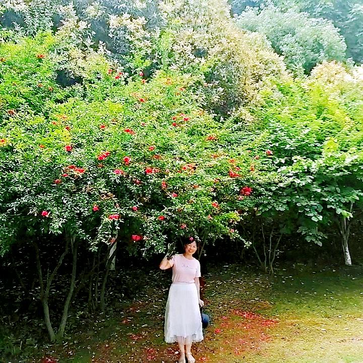 守佑