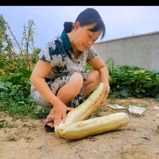 李佳红-记录生活