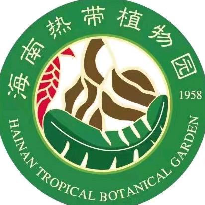 儋州热带植物园空中漂流儋州热带植物园空中漂流