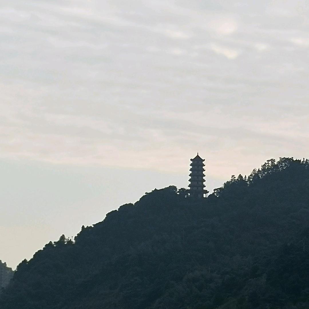 风中的承诺96