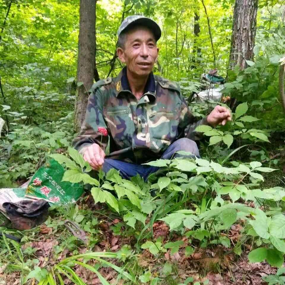 九九哥（长白山）首播