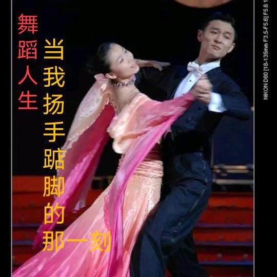 别墅设计 室内外精装 包工包料