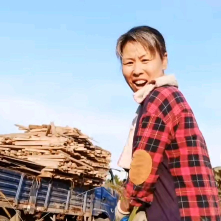 红梅——任才