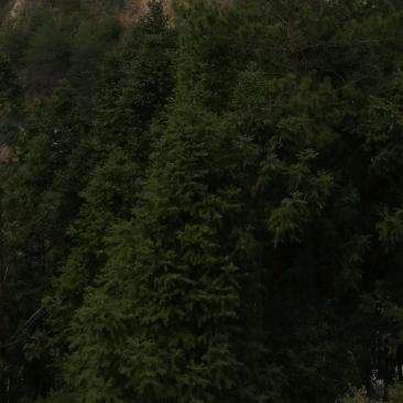 坐看云起时