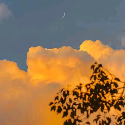 长夜正浓时，吾亦谢时去