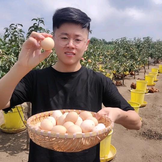 乡村土鸡仔