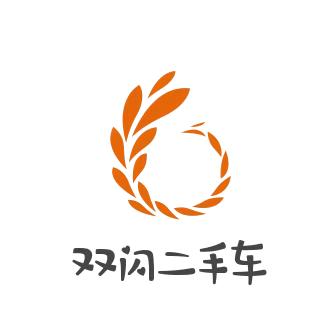 双闪二手车