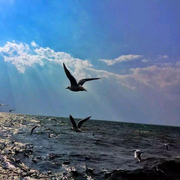 太在意别人终究累了自己