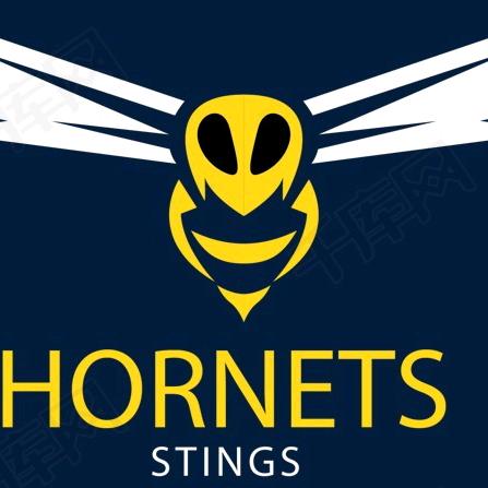 雲甸胡蜂养殖（全程饲料）