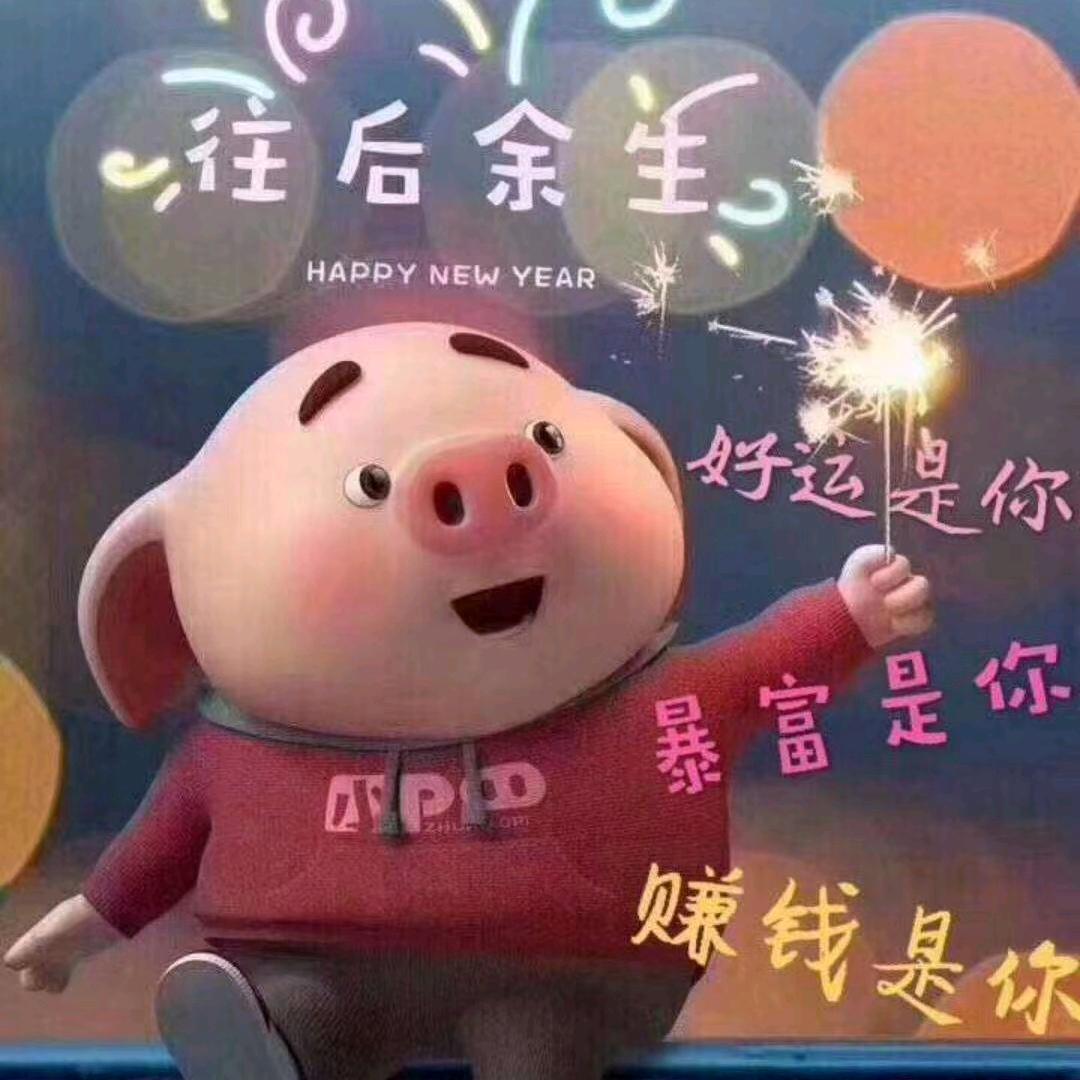 幸福的猪127