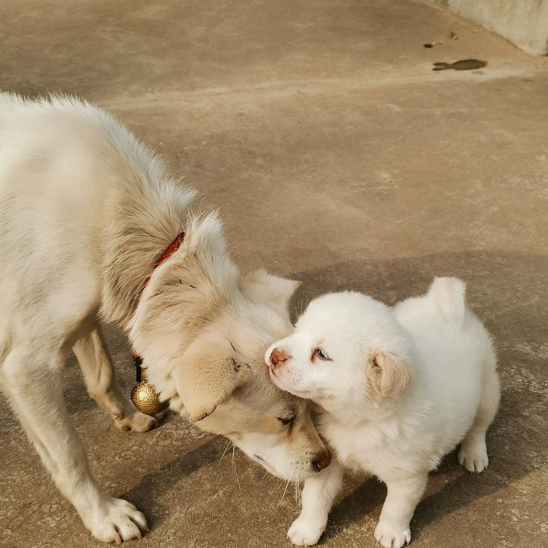 unique见过王俊凯、王源2.0版🌷