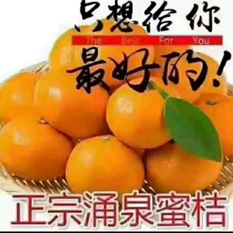 江西的女儿＃浙江媳妇
