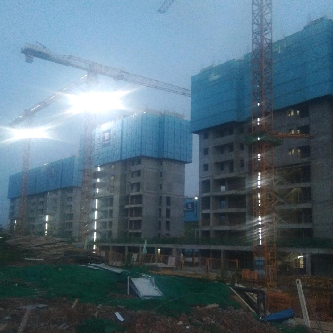 北风知我心v＇／