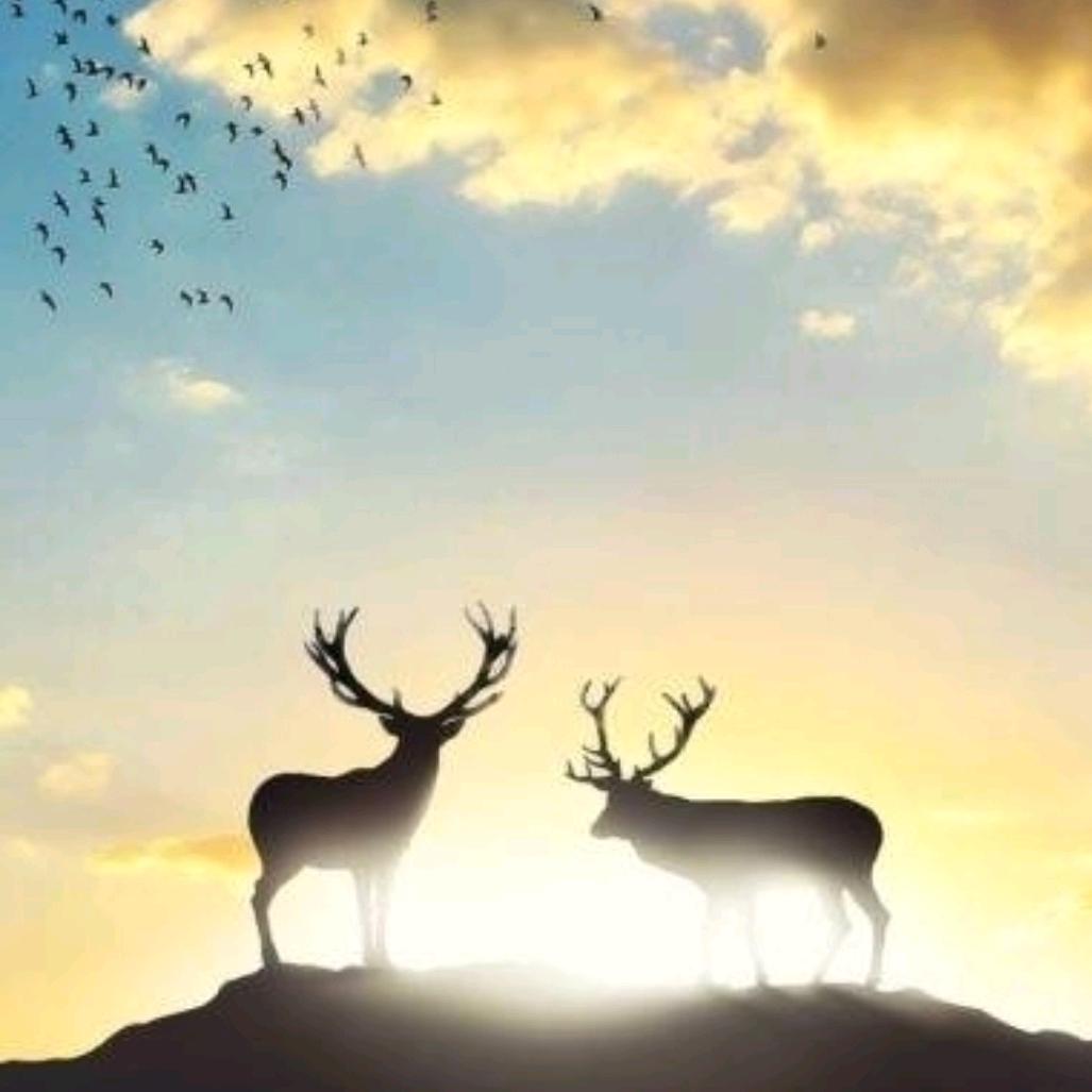 连云港鼎麦食品有限公司