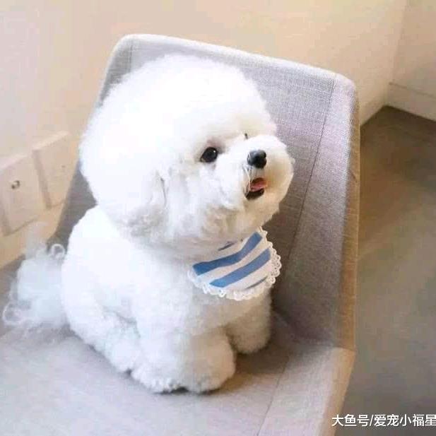☁️小小的我