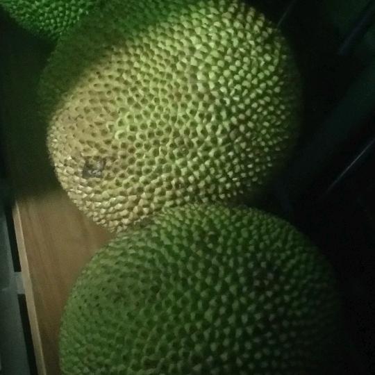 小黑