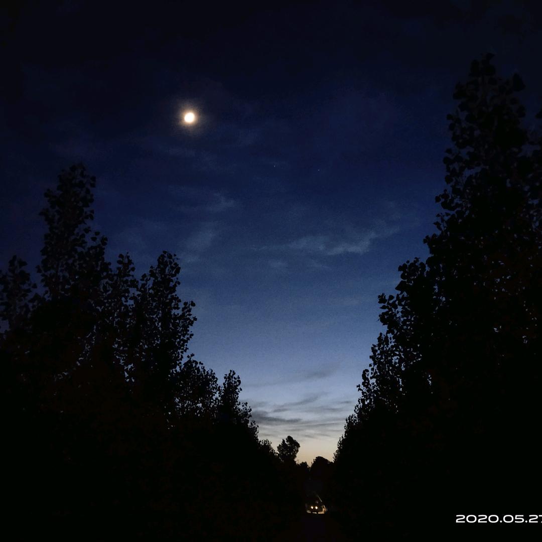 吃鲅鱼头不吃牛排