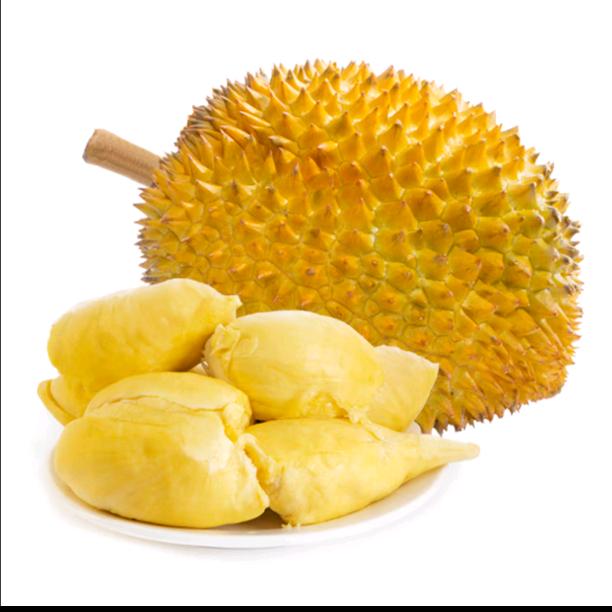 榴莲宝宝