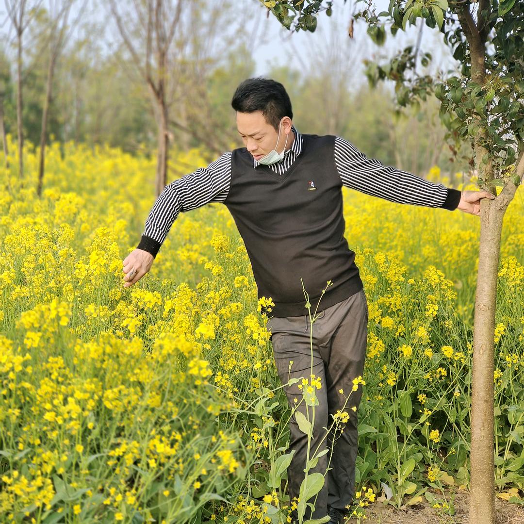 顺心装饰有限公司