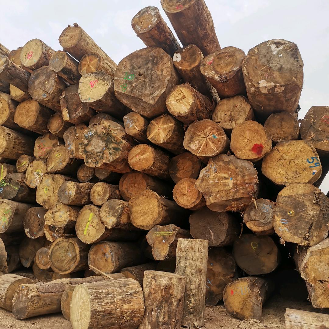 国林（木方模板批发）