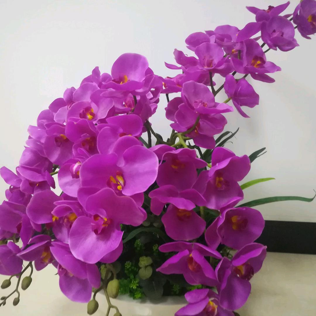 不鸣则已