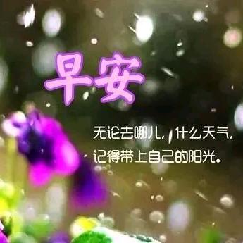 融化我的温柔