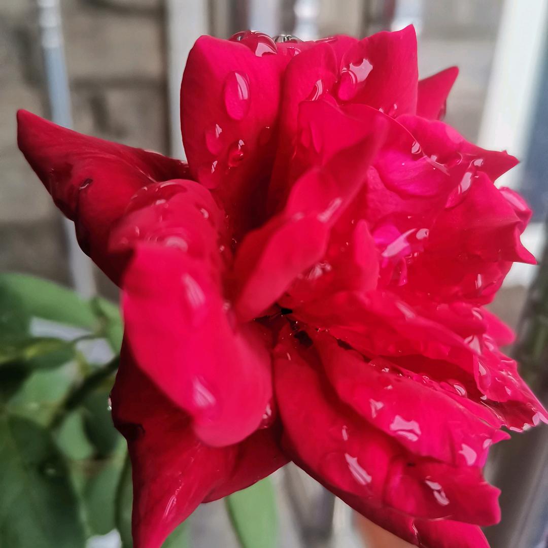 化峪镇医院北边香裱大全