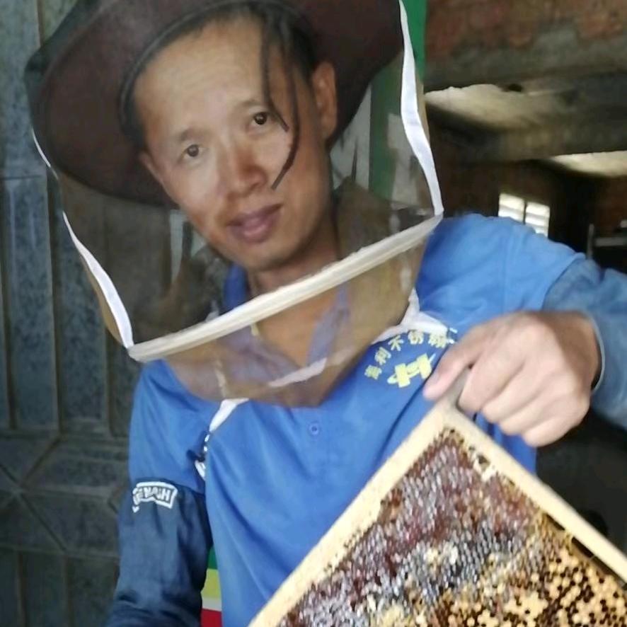 桥儿