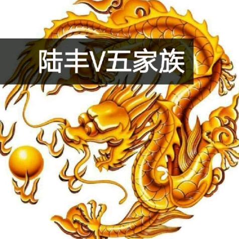 陆丰V五