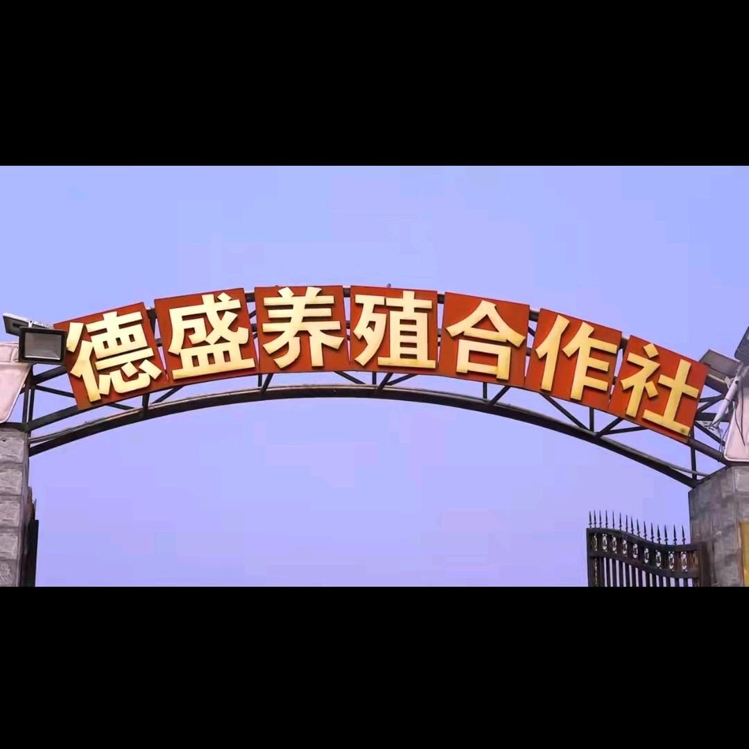 德盛养殖
