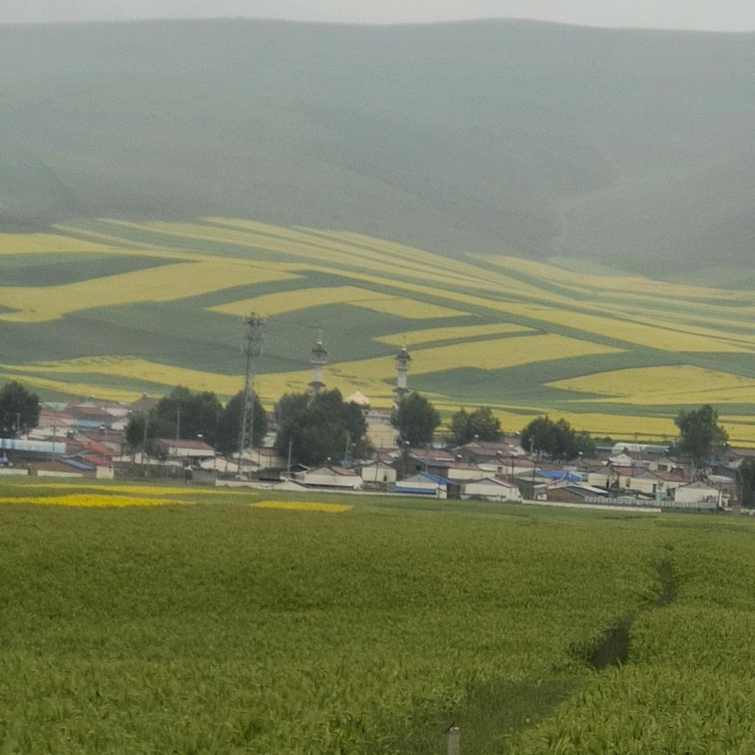 心若相依