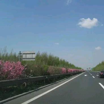 王哪走
