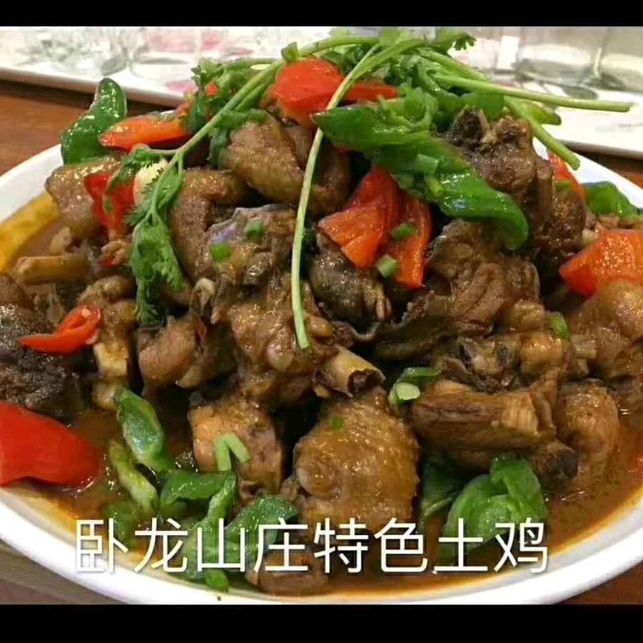 溧水区卧龙山庄饭店